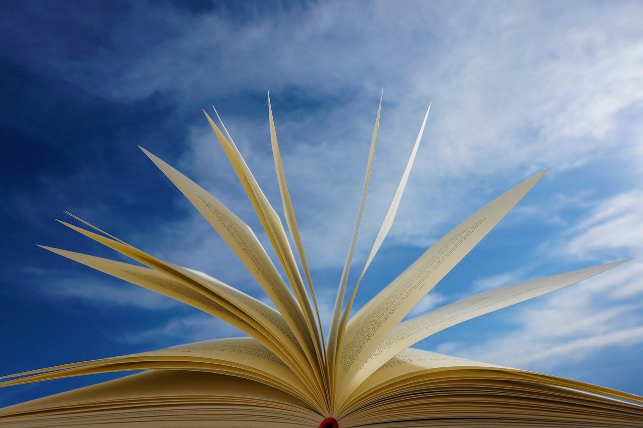 Book Pages Read Education Novel  - Kranich17 / Pixabay