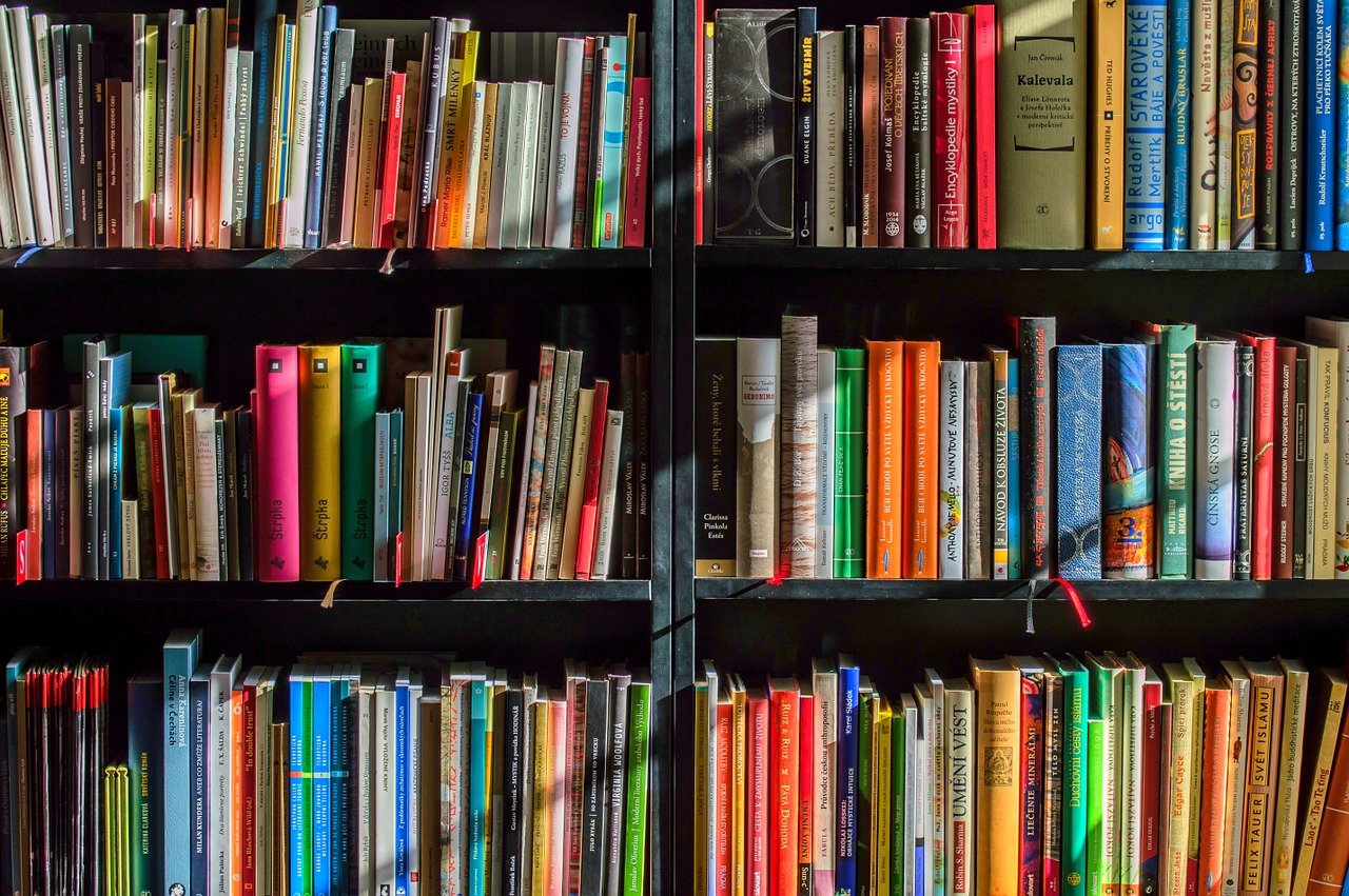 Books Bookstore Book Reading  - LubosHouska / Pixabay