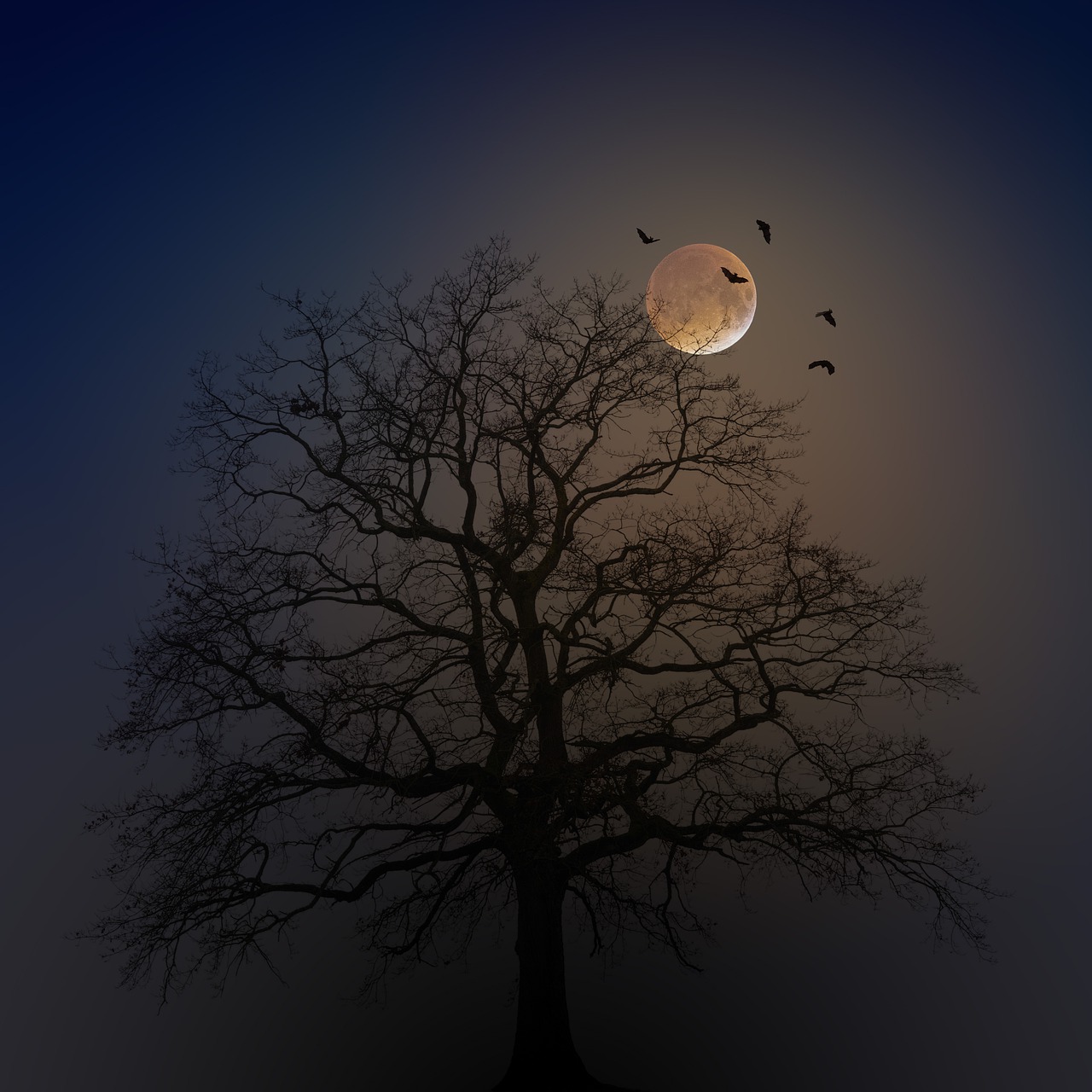 Halloween Tree Silhouette Moon Fog  - jplenio / Pixabay