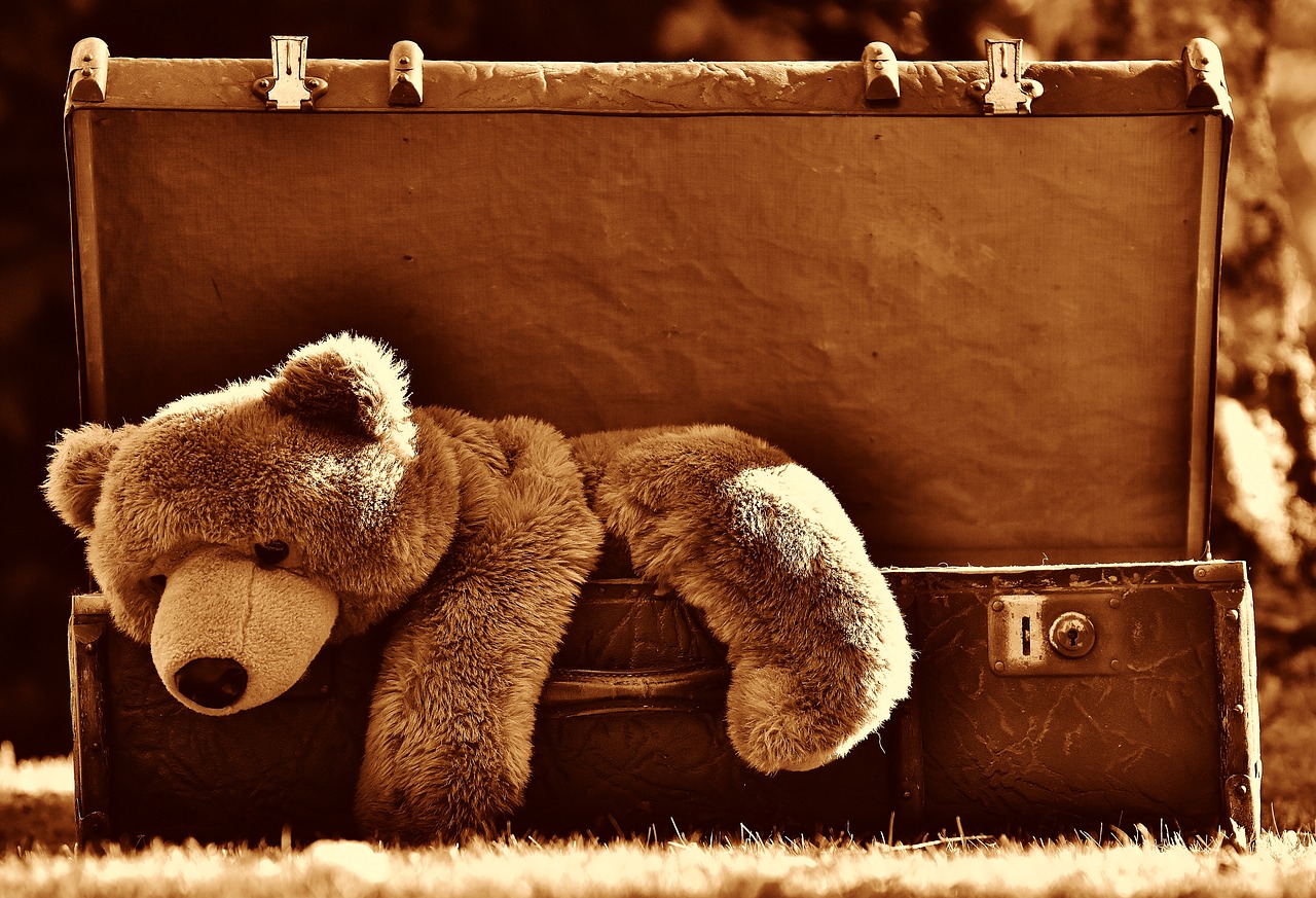 Luggage Teddy Bear Vintage Suitcase  - Alexas_Fotos / Pixabay