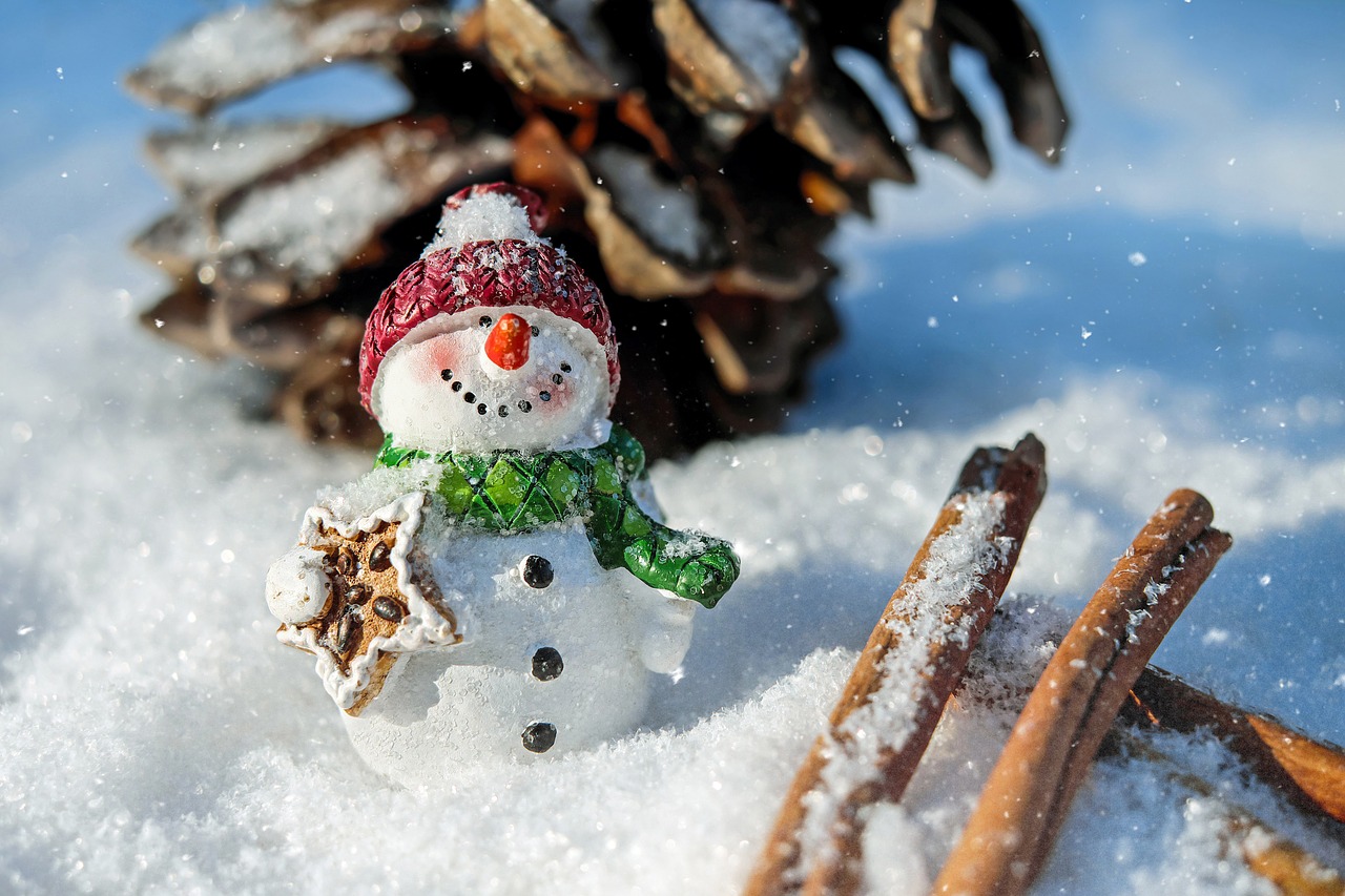 Snowman Snow Christmas Winter Cold  - Couleur / Pixabay