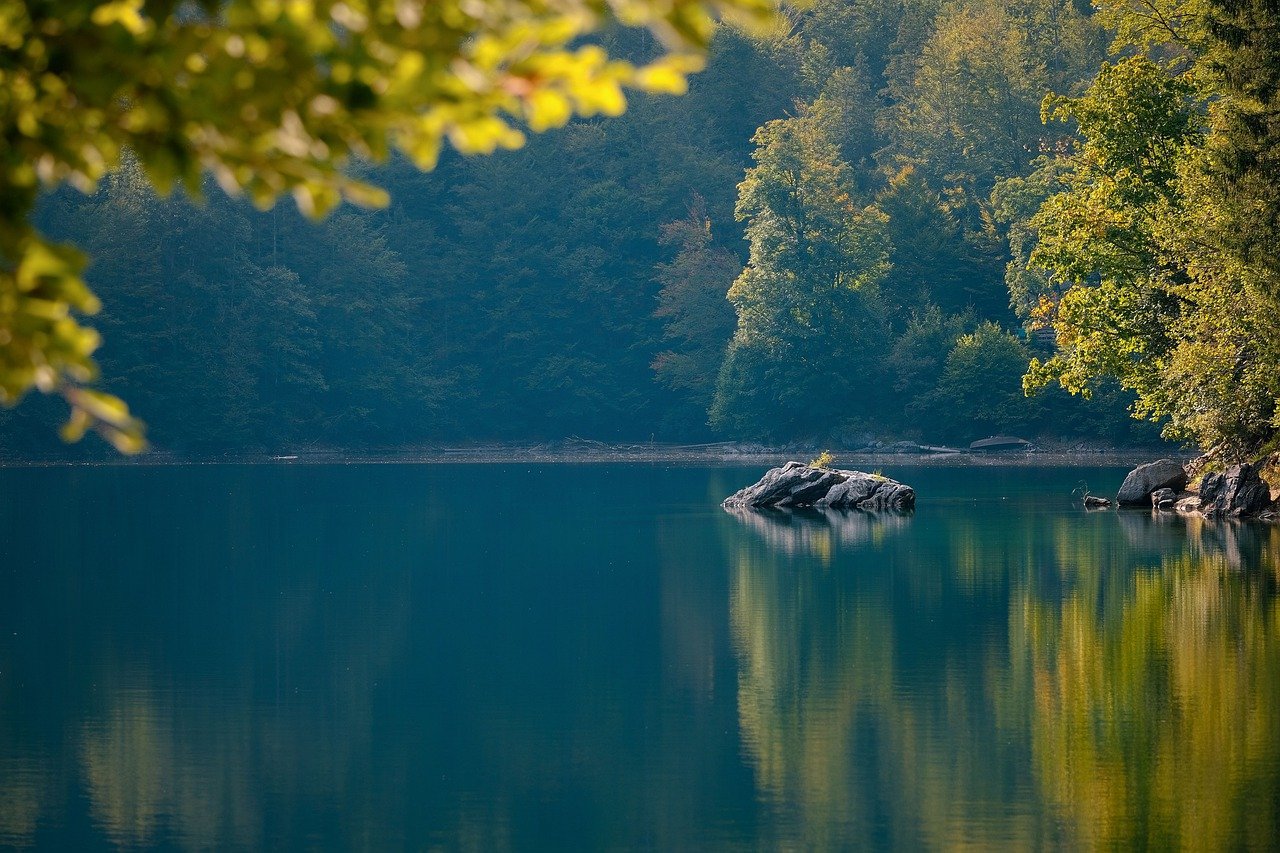 Lake Rocks Forest Nature Water  - shogun / Pixabay