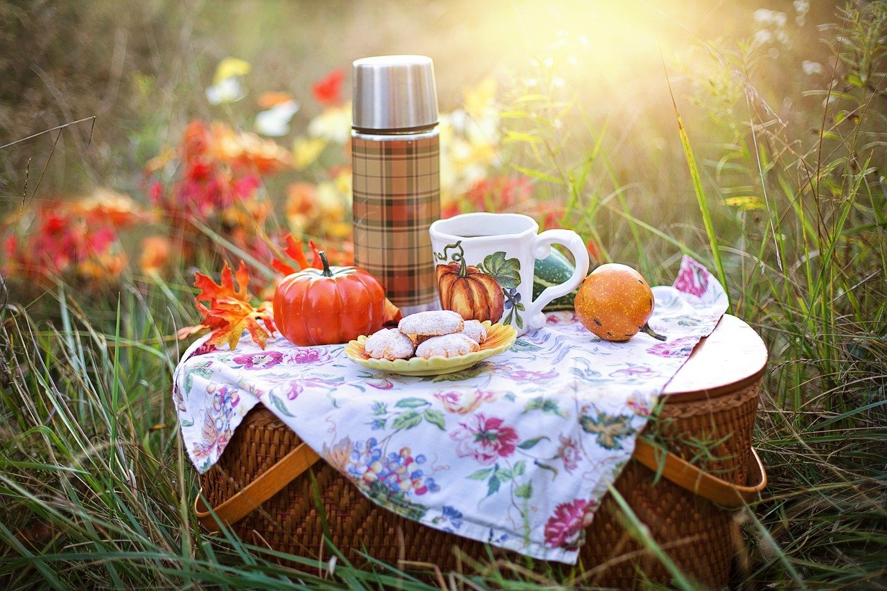 Autumn Tea Fall Picnic Drink  - JillWellington / Pixabay