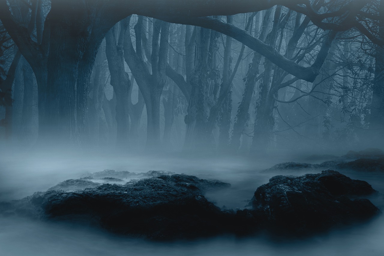 Forest Fog Dark Trees Nature  - 21967857 / Pixabay