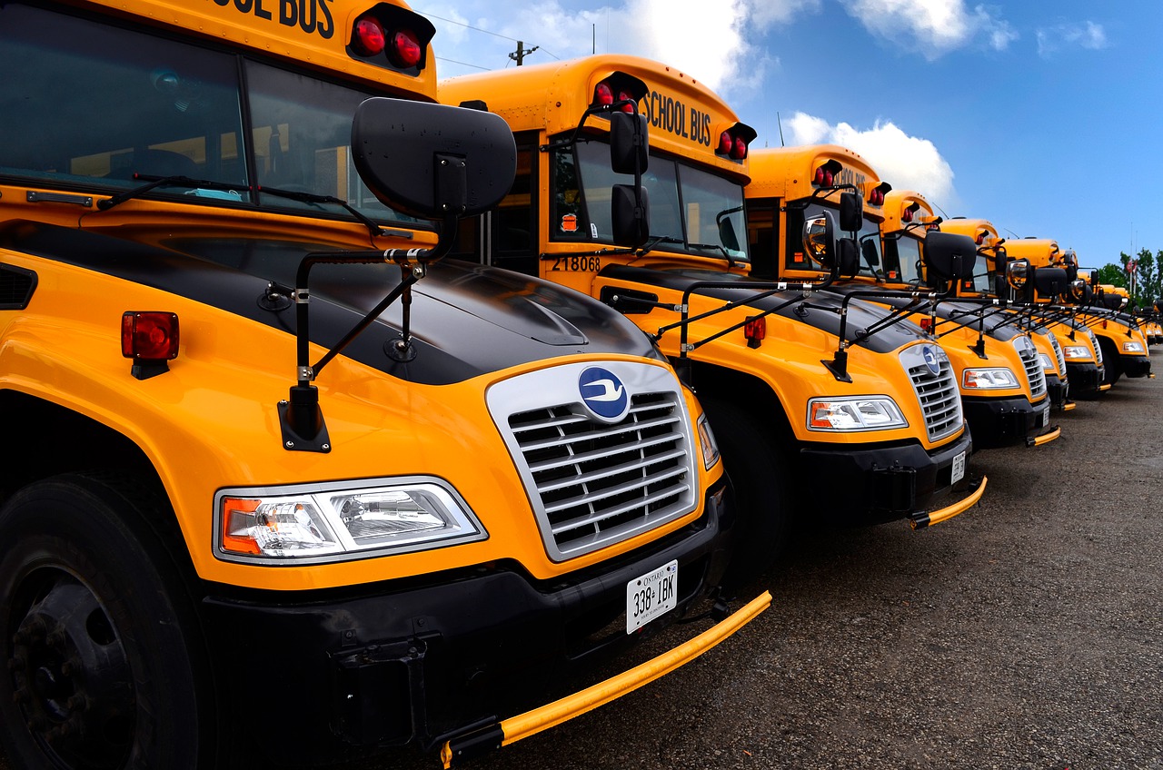 School Bus Transportation Vehicle  - MeganLeeB / Pixabay