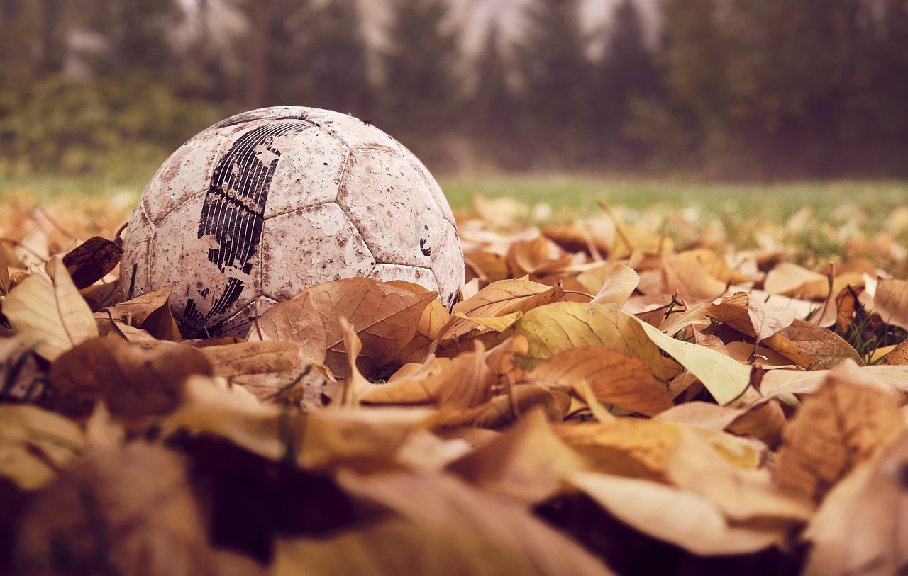 Soccer Ball Nature Autumn Season  - danielkirsch / Pixabay